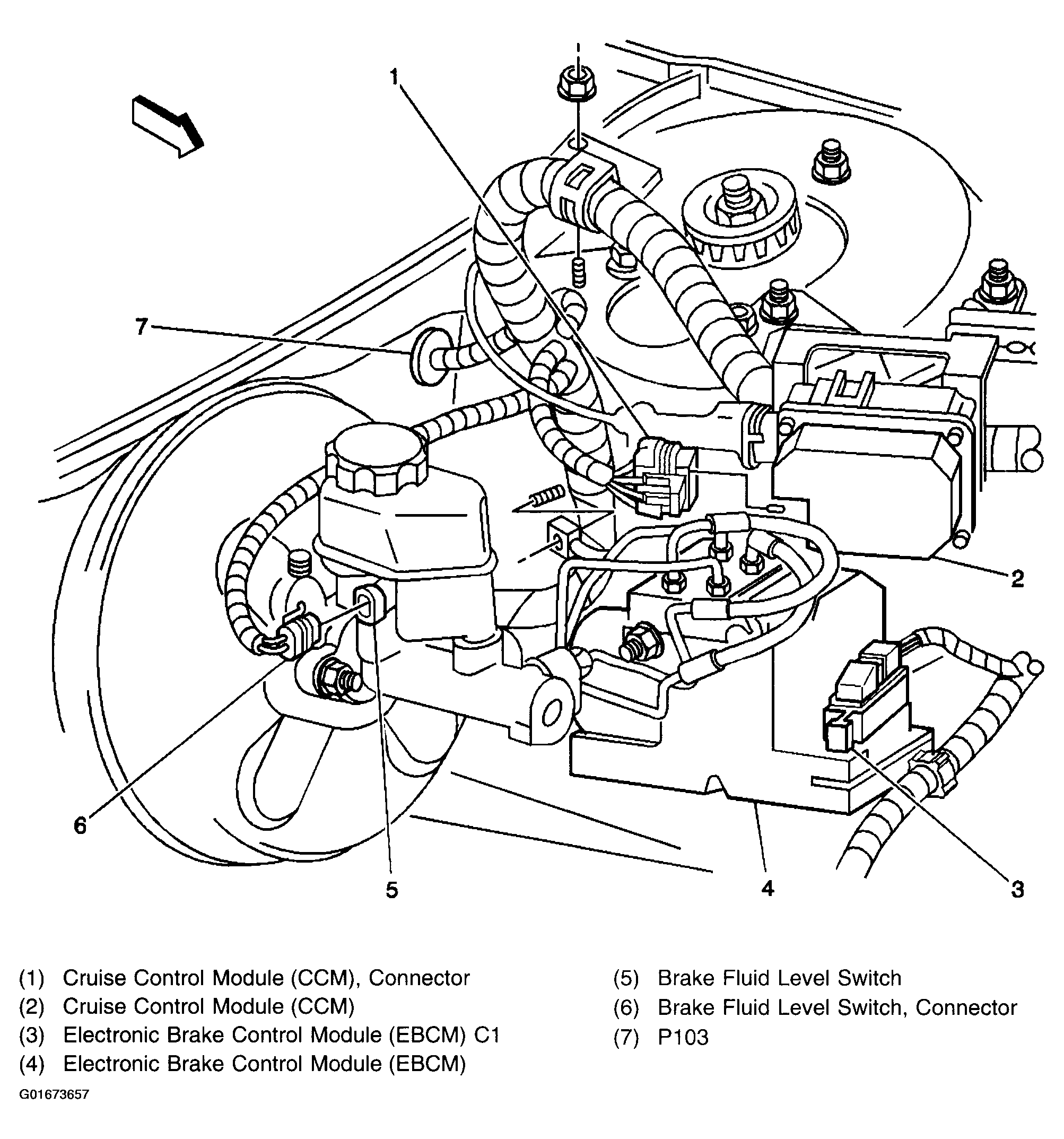 G01673657