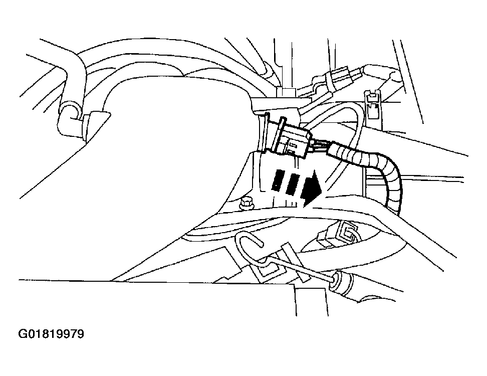 G01819979