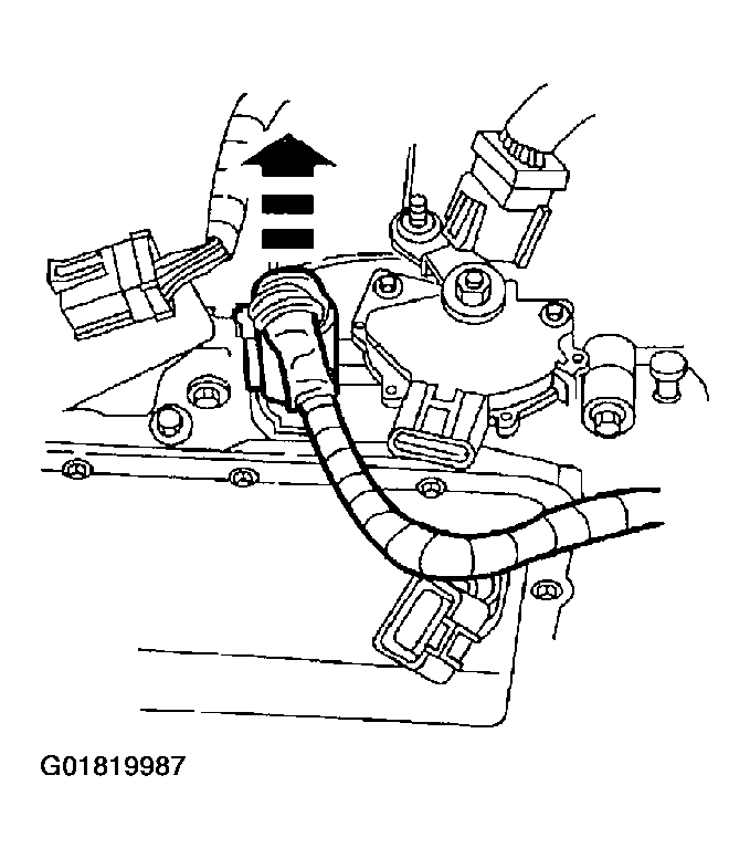 G01819987