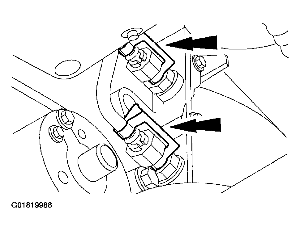 G01819988