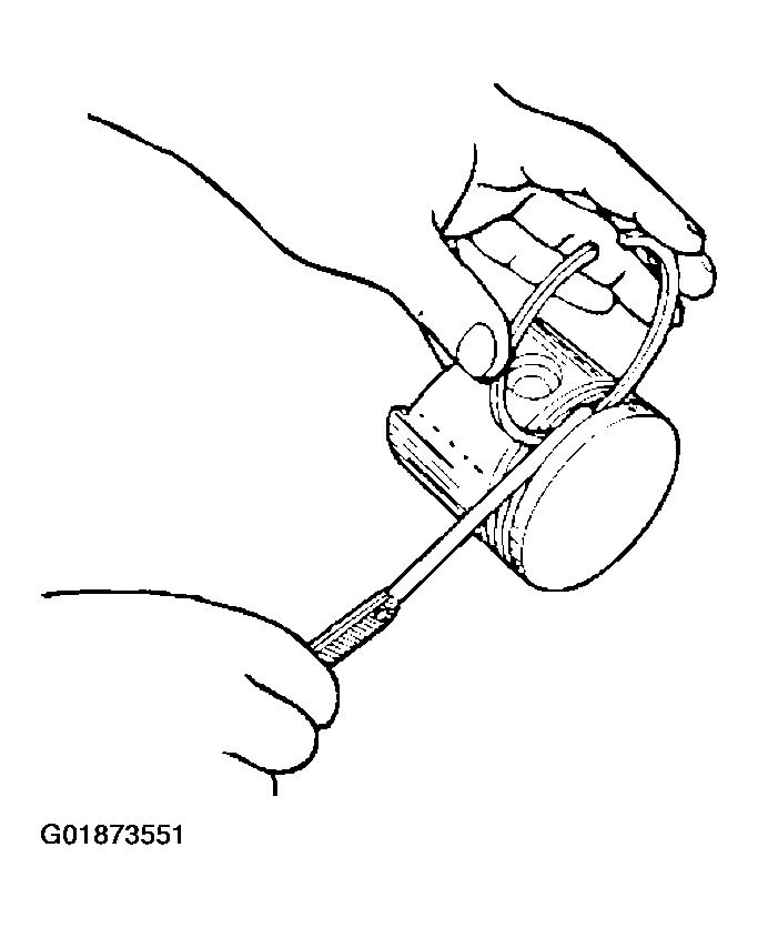 G01873551