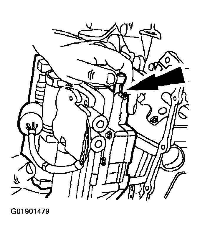G01901479