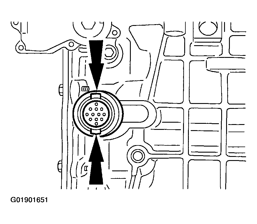G01901651