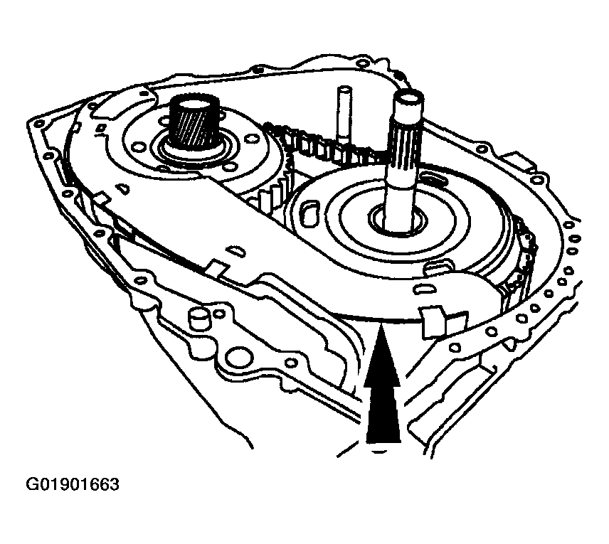 G01901663