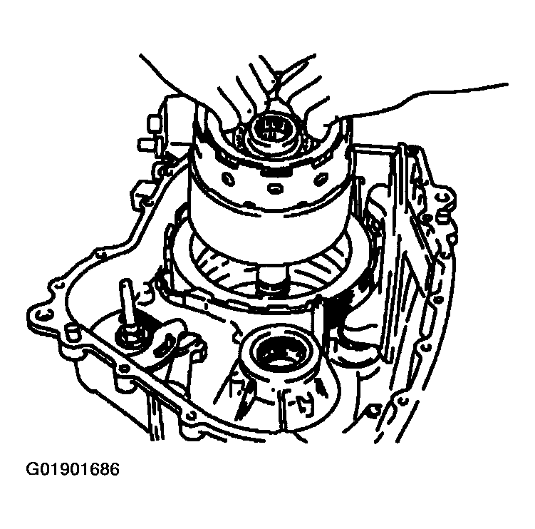 G01901686