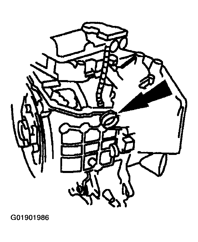 G01901986