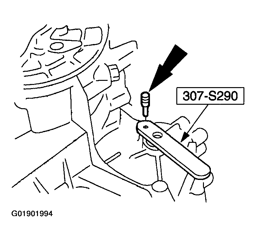 G01901994
