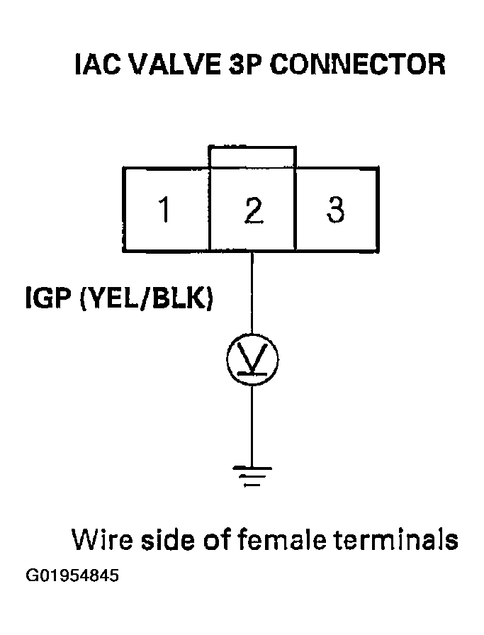 G01954845