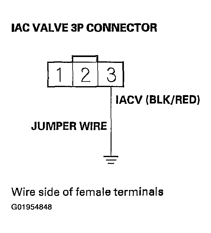 G01954848