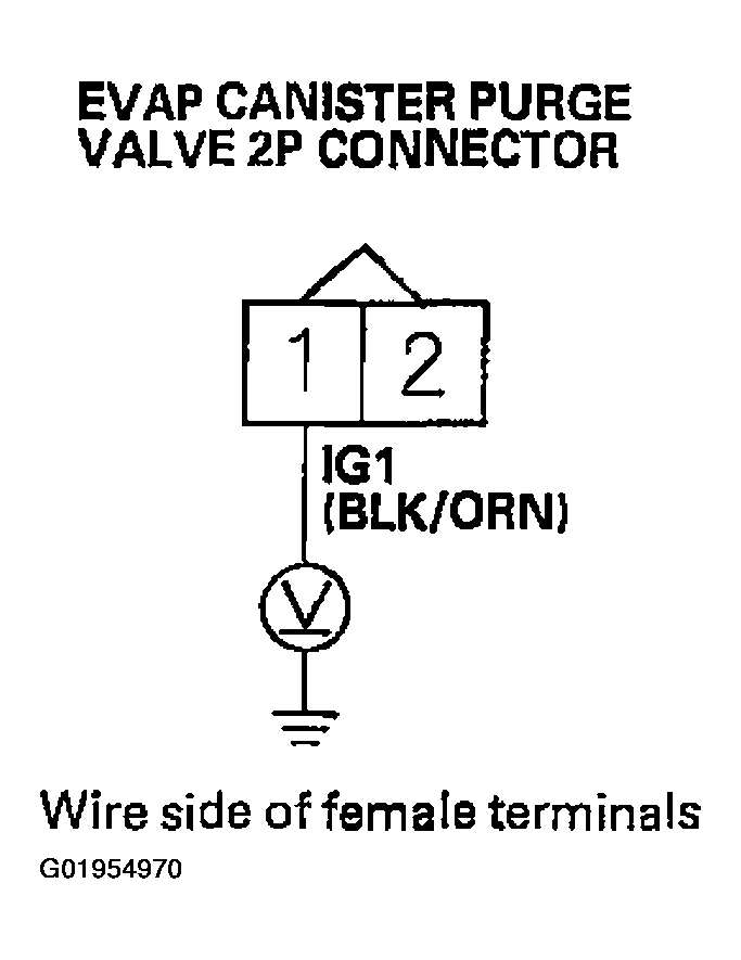 G01954970