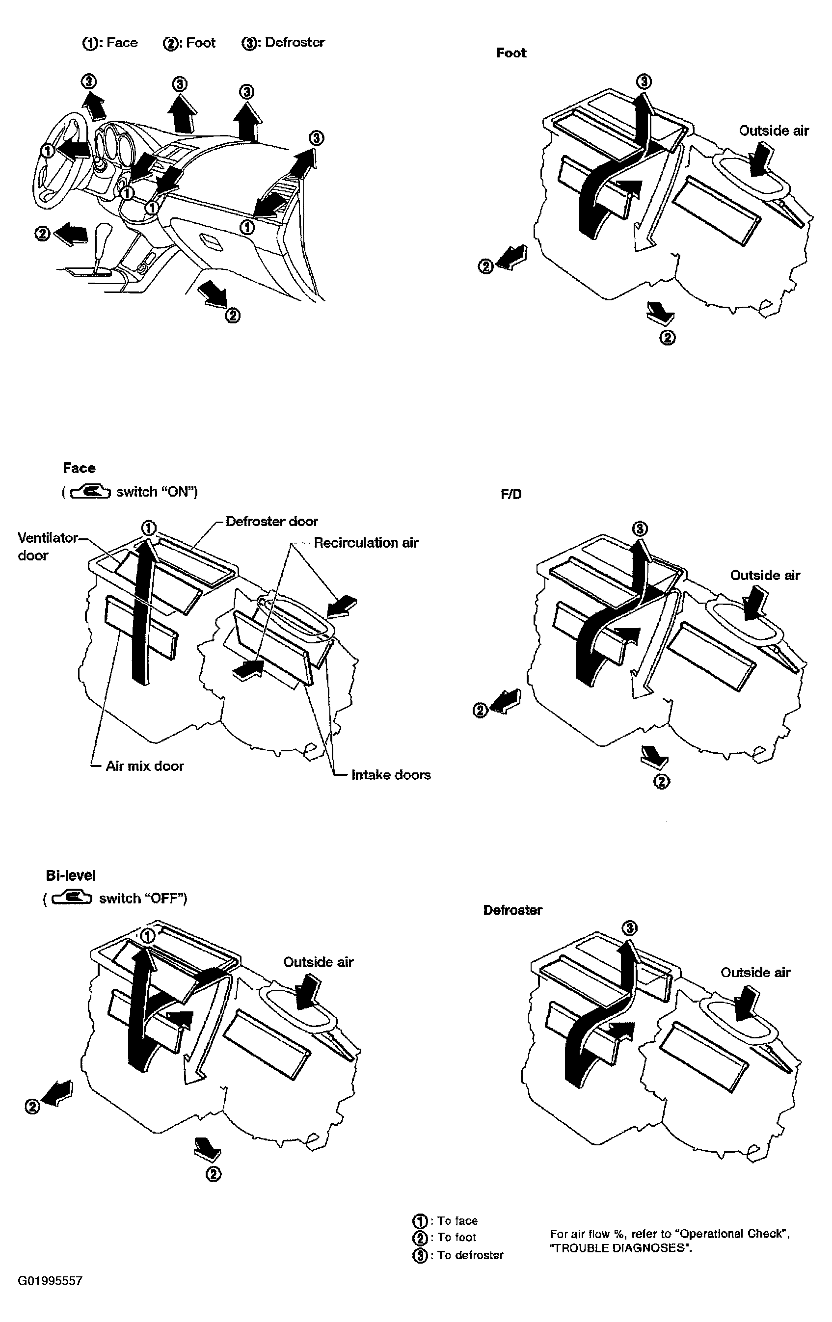 G01995557