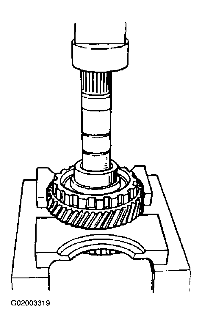 G02003319