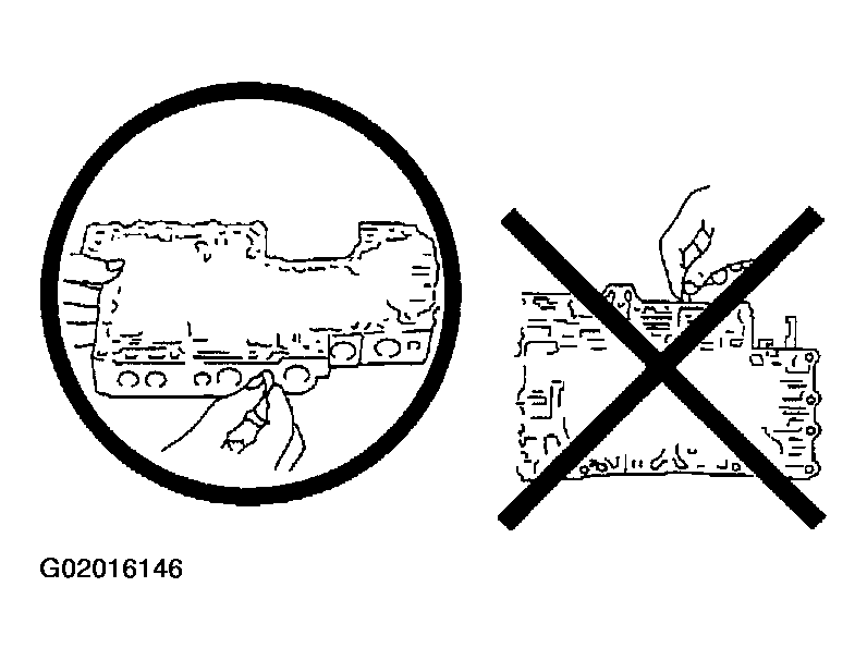 G02016146