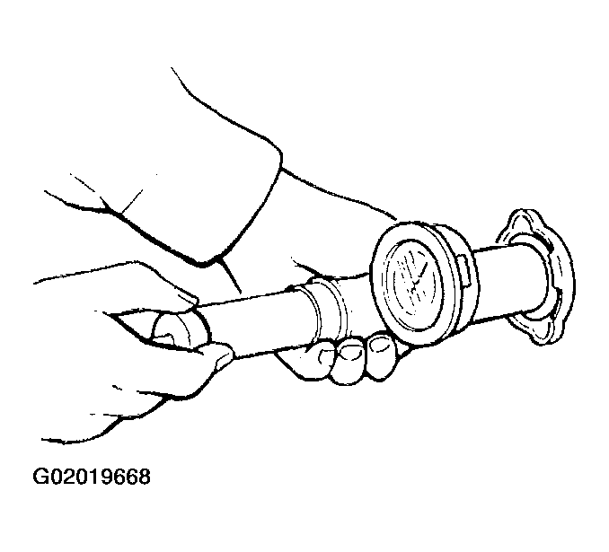 G02019668