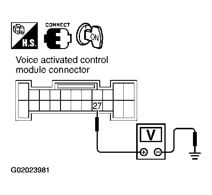 G02023981