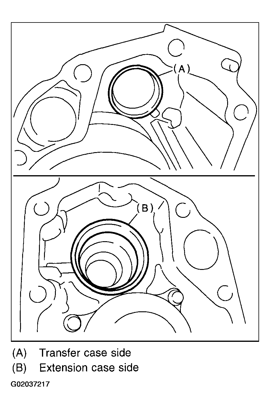 G02037217