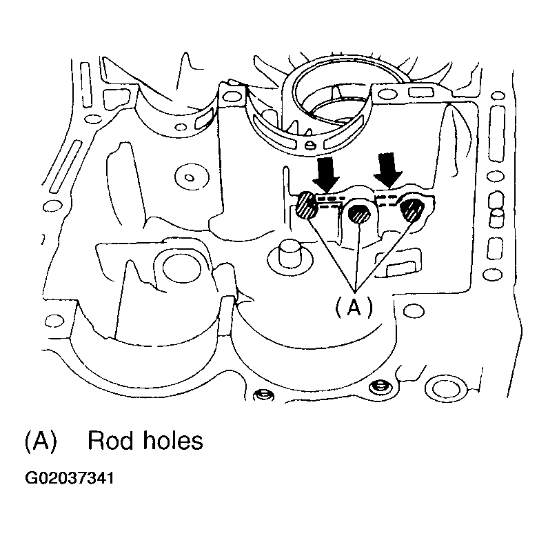 G02037341