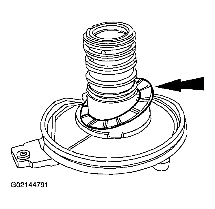 G02144791