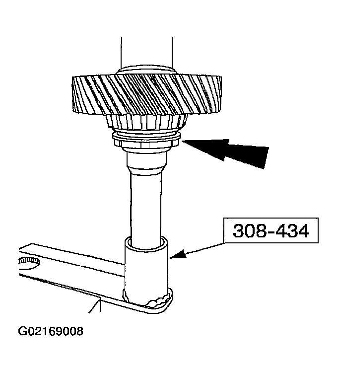 G02169008