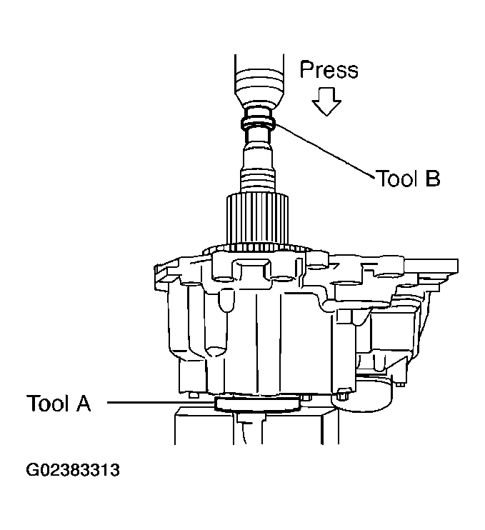 G02383313