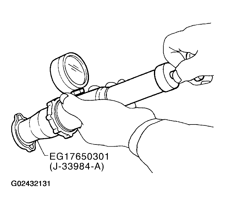 G02432131