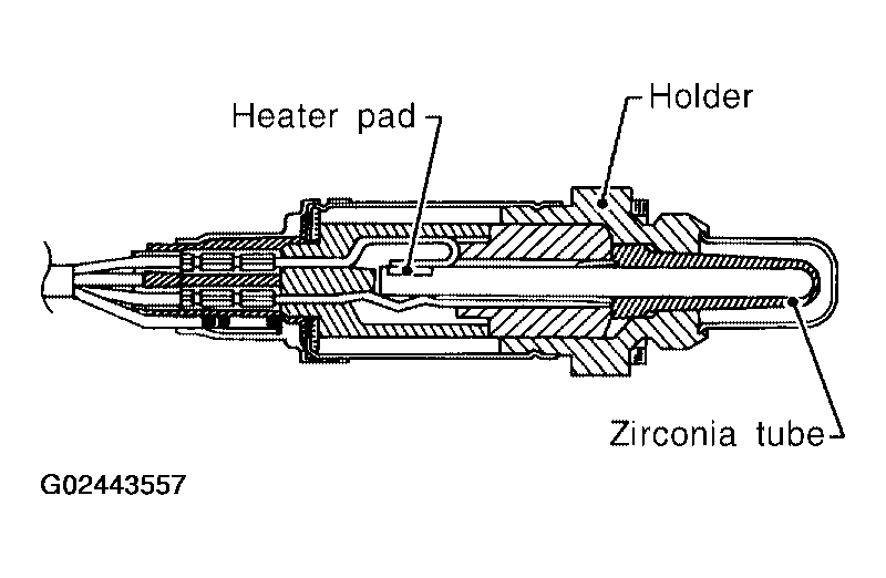 G02443557