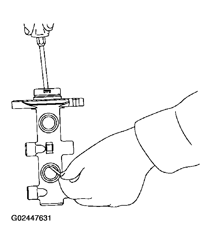 G02447631