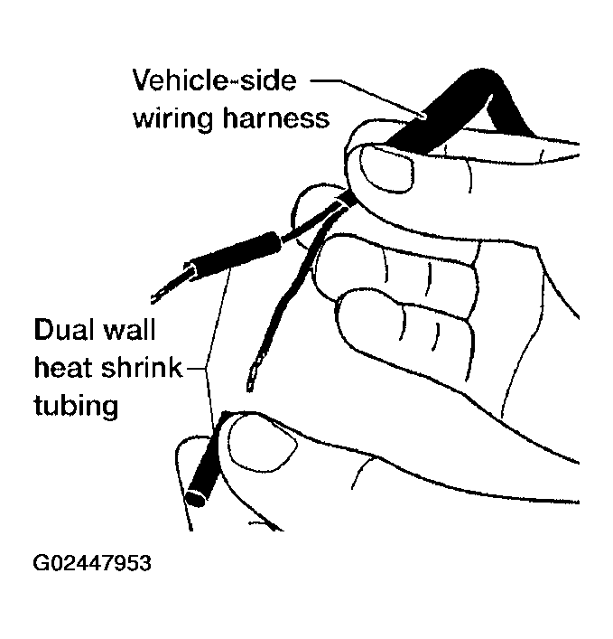 G02447953