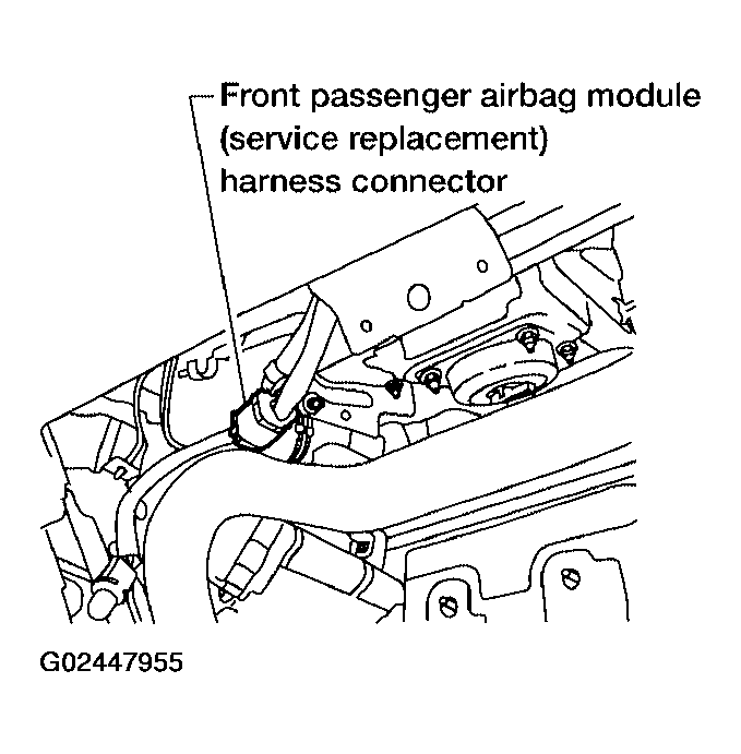 G02447955