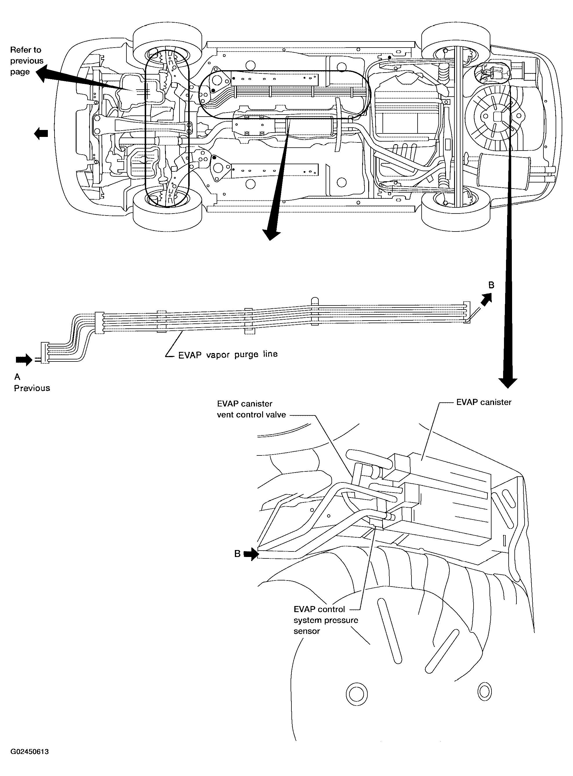 G02450613