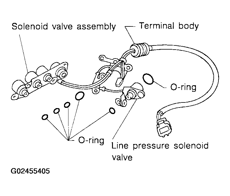 G02455405