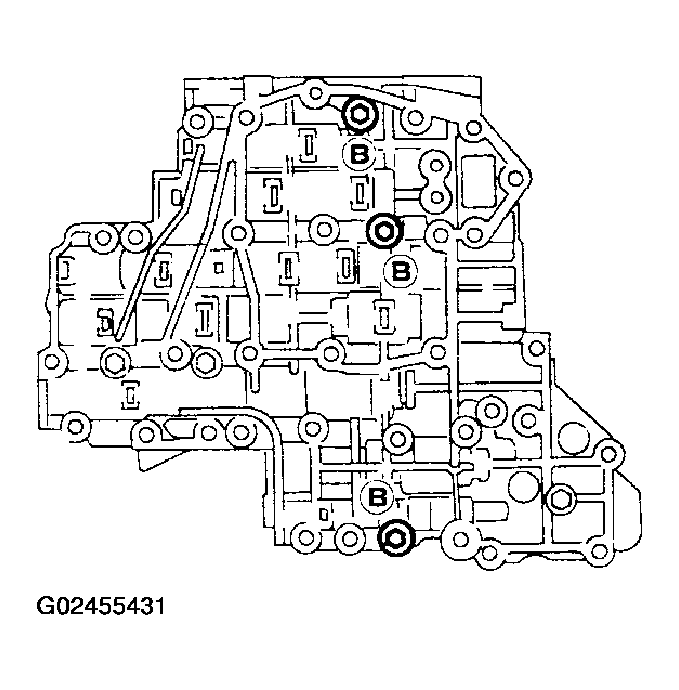G02455431