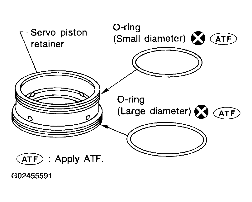 G02455591