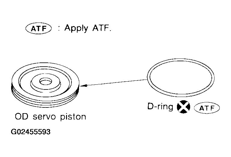 G02455593