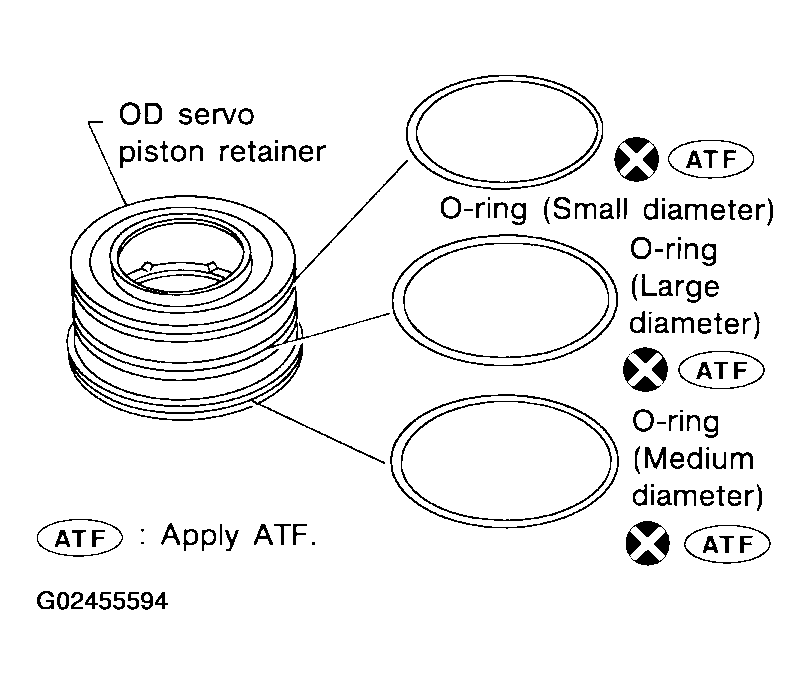 G02455594