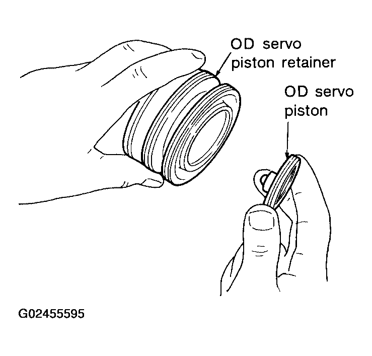 G02455595
