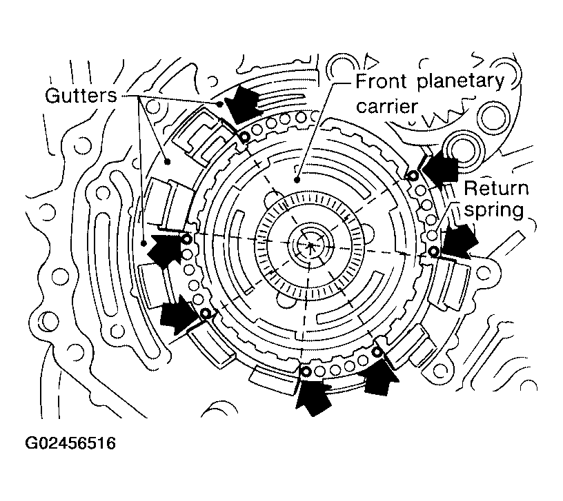 G02456516
