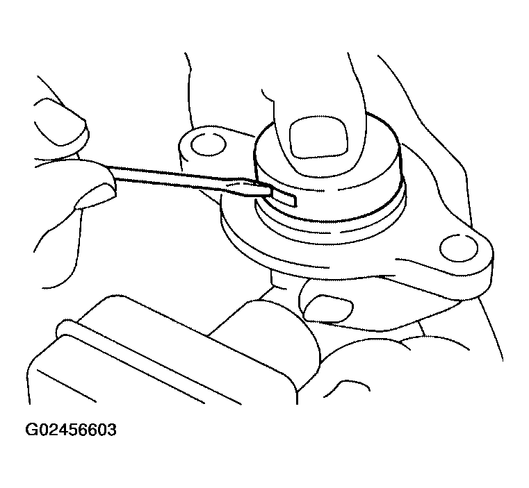 G02456603