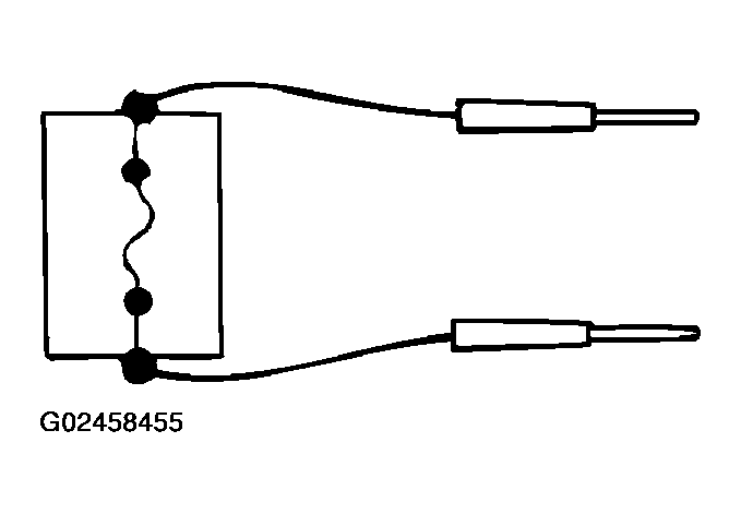 G02458455
