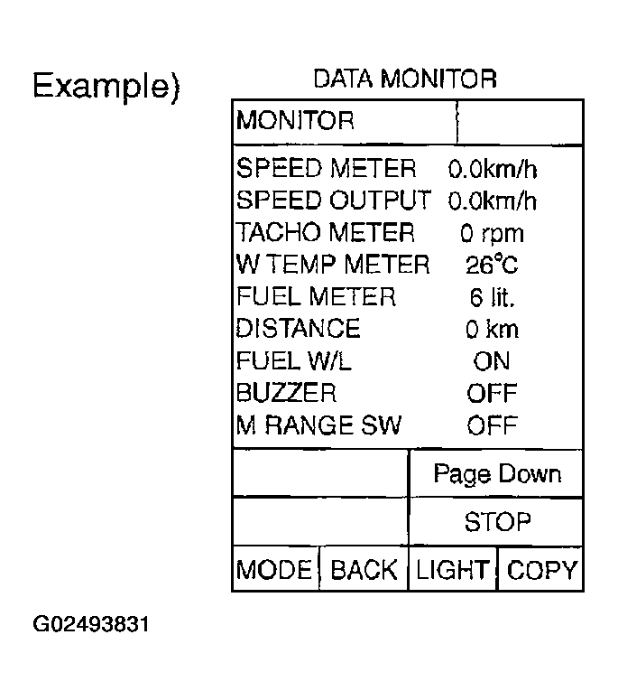 G02493831