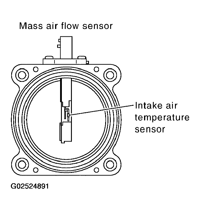 G02524891