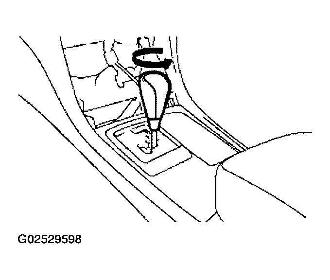 G02529598