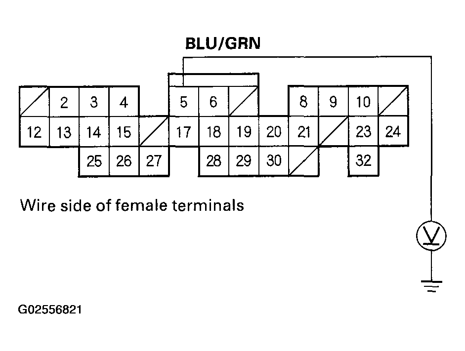 G02556821