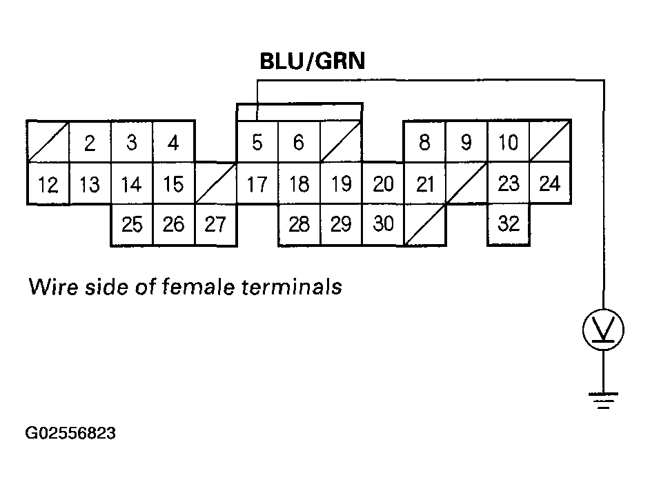 G02556823