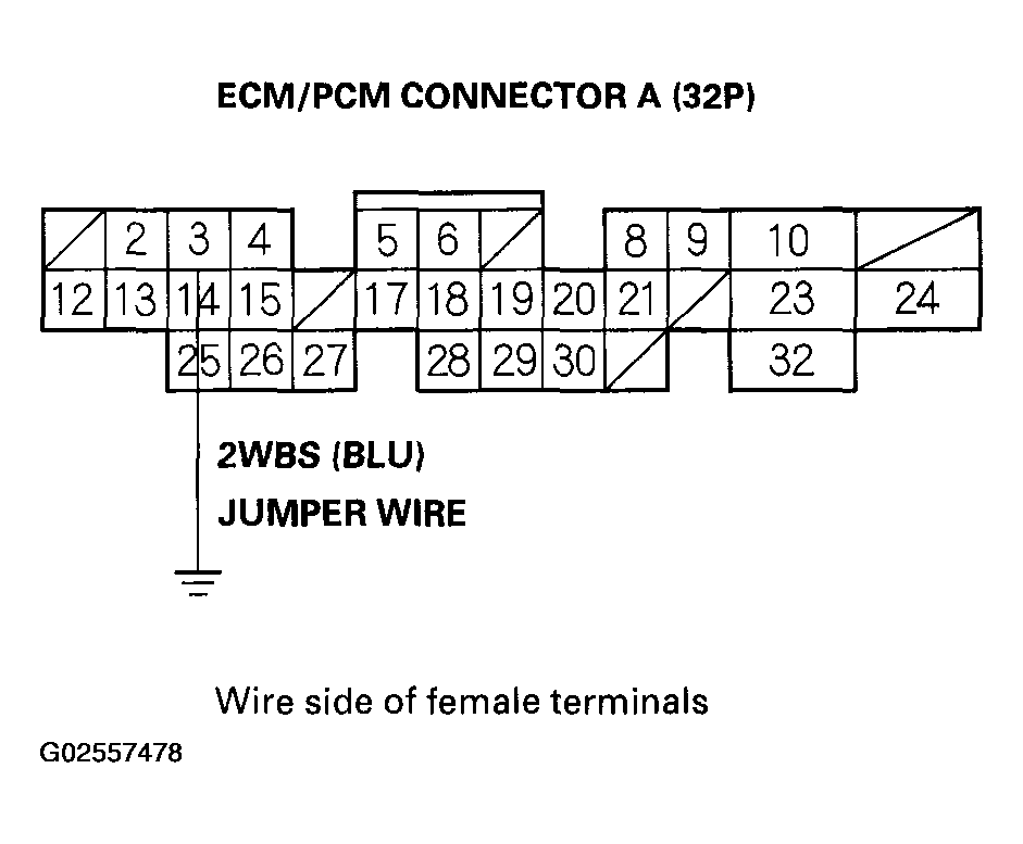 G02557478