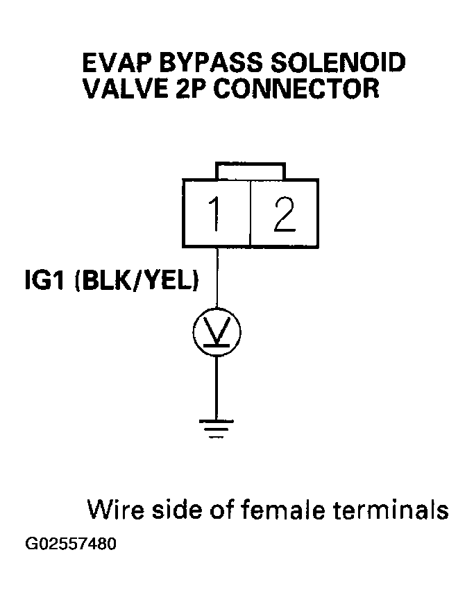 G02557480
