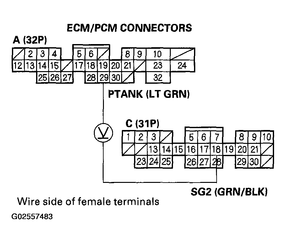 G02557483