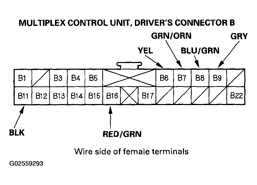 G02559293