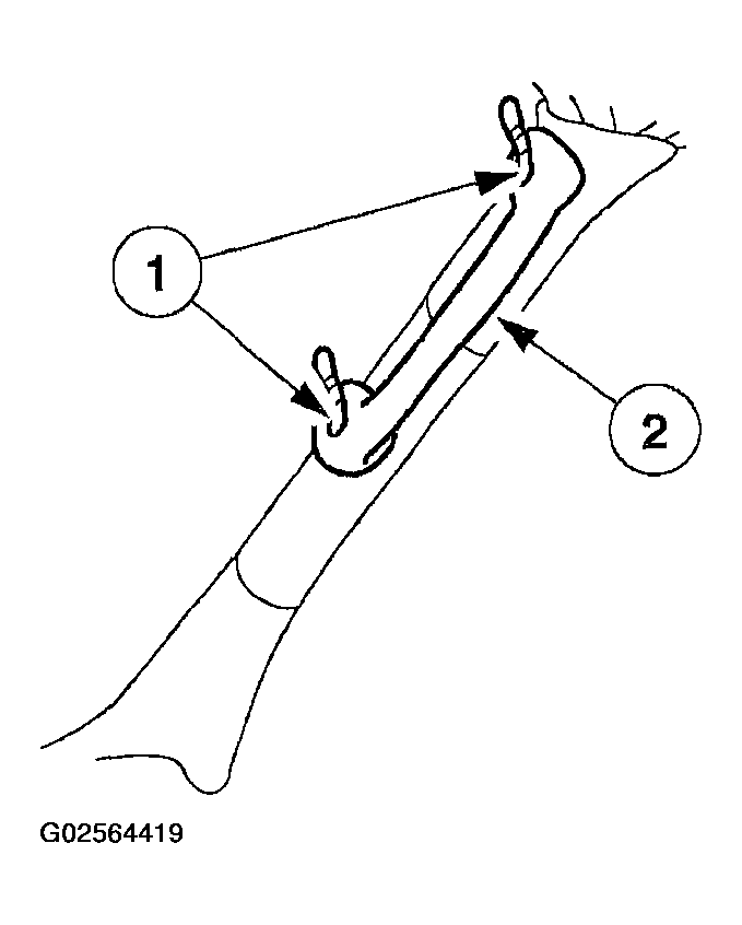 G02564419