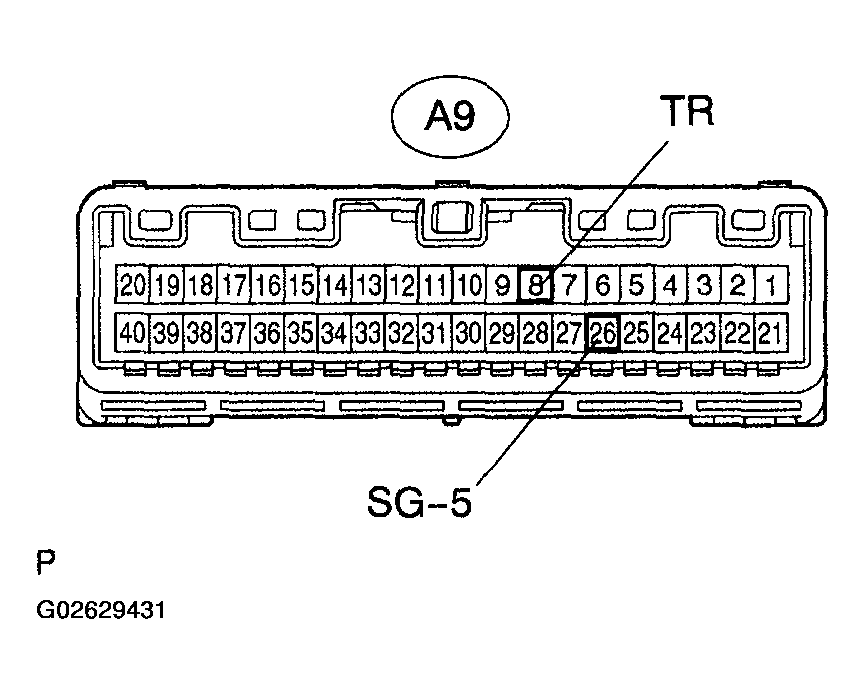 G02629431